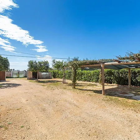 Il Marchese E L'ulivo By Barbarhouse